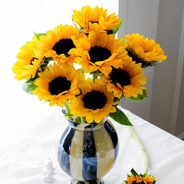 迷你向日葵-黑心A