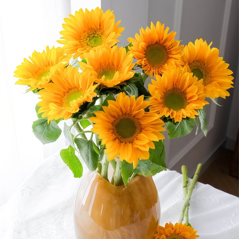 迷你向日葵-绿心C