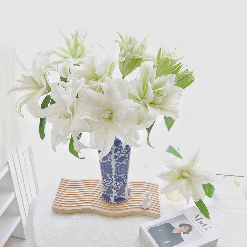 重瓣-艾莎二头B